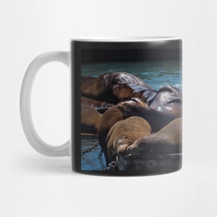 Snuggling Seals Pier 39 San Francisco Mug